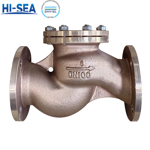 What Is The Difference Between Cast Iron Check Valve And Bronze Check Valve